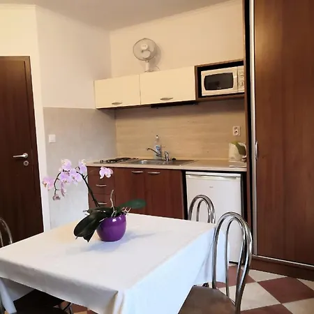 Zeleny Domcek Apartament